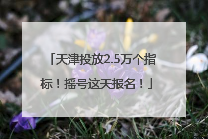天津投放2.5万个指标！摇号这天报名！