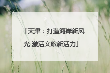 天津：打造海岸新风光 激活文旅新活力