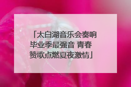 太白湖音乐会奏响毕业季最强音 青春赞歌点燃夏夜激情