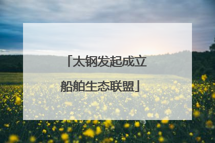 太钢发起成立船舶生态联盟