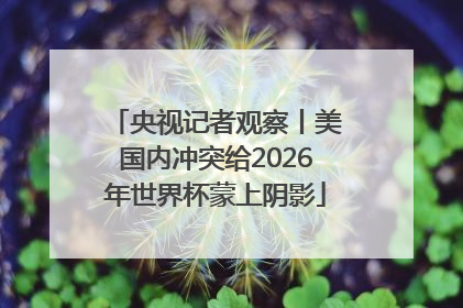 央视记者观察丨美国内冲突给2026年世界杯蒙上阴影