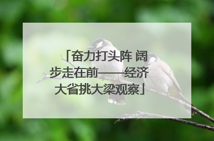奋力打头阵 阔步走在前——经济大省挑大梁观察