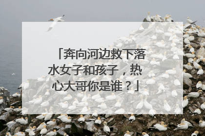 奔向河边救下落水女子和孩子，热心大哥你是谁？