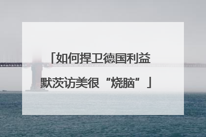 如何捍卫德国利益 默茨访美很“烧脑”