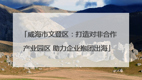 威海市文登区：打造对非合作产业园区 助力企业抱团出海