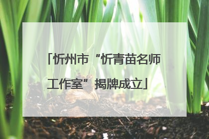 忻州市“忻青苗名师工作室”揭牌成立