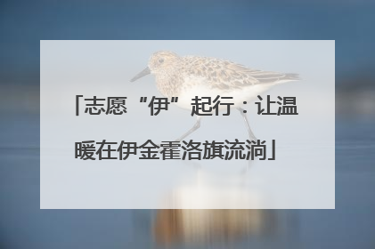 志愿“伊”起行：让温暖在伊金霍洛旗流淌