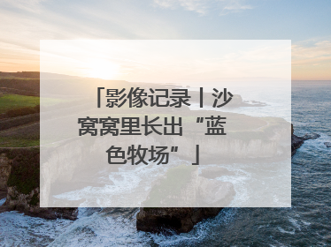 影像记录丨沙窝窝里长出“蓝色牧场”