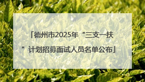 德州市2025年“三支一扶”计划招募面试人员名单公布