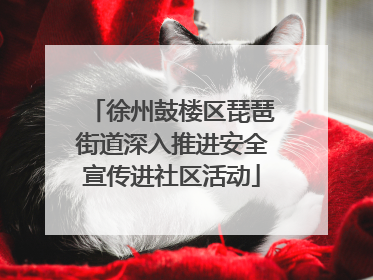 徐州鼓楼区琵琶街道深入推进安全宣传进社区活动