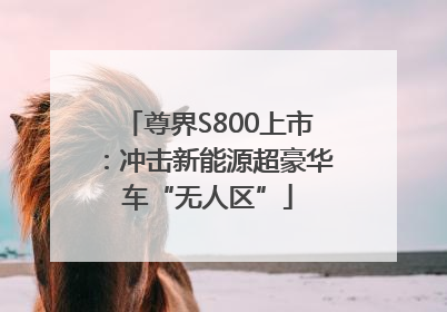 尊界S800上市：冲击新能源超豪华车“无人区”