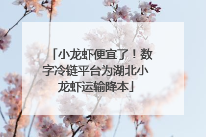 小龙虾便宜了！数字冷链平台为湖北小龙虾运输降本