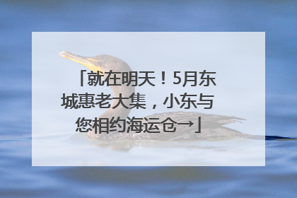 就在明天！5月东城惠老大集，小东与您相约海运仓→
