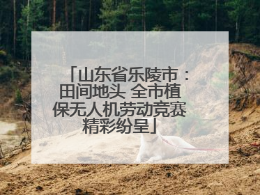 山东省乐陵市：田间地头 全市植保无人机劳动竞赛精彩纷呈