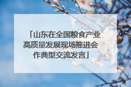 山东在全国粮食产业高质量发展现场推进会作典型交流发言
