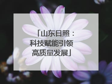 山东日照：科技赋能引领高质量发展