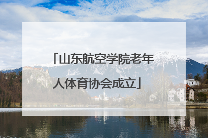 山东航空学院老年人体育协会成立