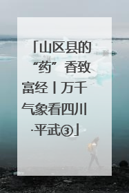 山区县的“药”香致富经丨万千气象看四川·平武③