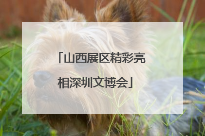 山西展区精彩亮相深圳文博会