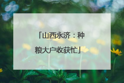山西永济：种粮大户收获忙