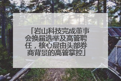 岩山科技完成董事会换届选举及高管聘任，核心层由头部券商背景的高管掌控