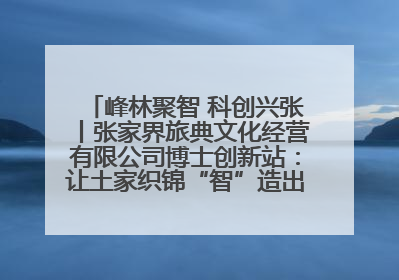 峰林聚智 科创兴张丨张家界旅典文化经营有限公司博士创新站：让土家织锦“智”造出非遗新传奇
