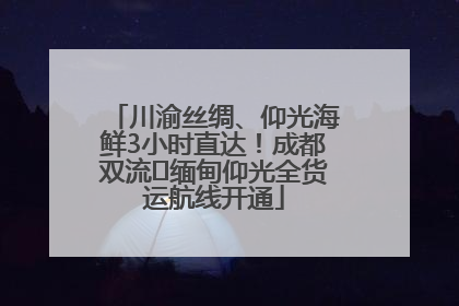 川渝丝绸、仰光海鲜3小时直达！成都双流⇌缅甸仰光全货运航线开通