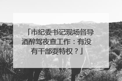 市纪委书记现场督导酒醉驾夜查工作：有没有干部耍特权？