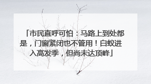 市民直呼可怕：马路上到处都是，门窗紧闭也不管用！白蚁进入高发季，但尚未达顶峰