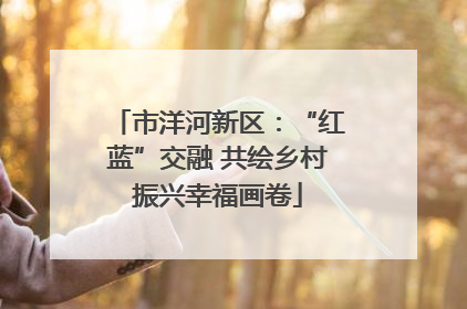 市洋河新区：“红蓝”交融 共绘乡村振兴幸福画卷