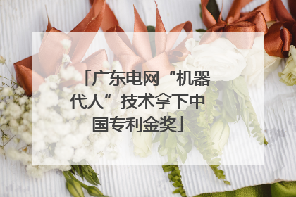广东电网“机器代人”技术拿下中国专利金奖