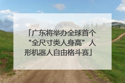 广东将举办全球首个“全尺寸类人身高”人形机器人自由格斗赛