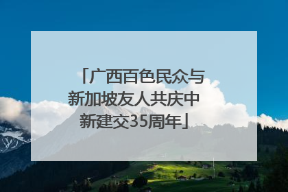 广西百色民众与新加坡友人共庆中新建交35周年