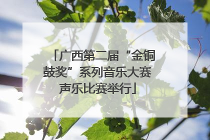 广西第二届“金铜鼓奖”系列音乐大赛声乐比赛举行