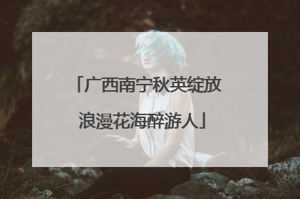 广西南宁秋英绽放 浪漫花海醉游人