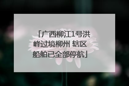 广西柳江1号洪峰过境柳州 辖区船舶已全部停航