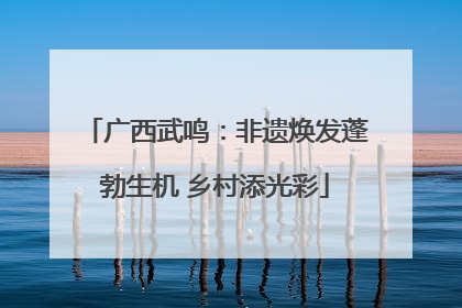 广西武鸣：非遗焕发蓬勃生机 乡村添光彩