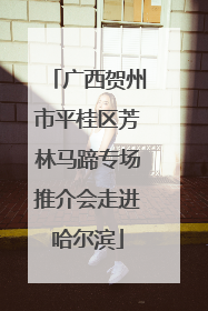 广西贺州市平桂区芳林马蹄专场推介会走进哈尔滨