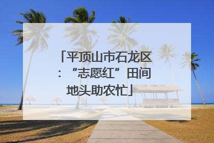 平顶山市石龙区：“志愿红”田间地头助农忙