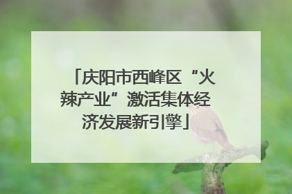 庆阳市西峰区“火辣产业”激活集体经济发展新引擎