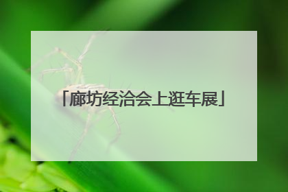 廊坊经洽会上逛车展