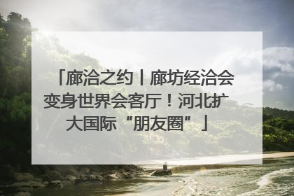 廊洽之约丨廊坊经洽会变身世界会客厅！河北扩大国际“朋友圈”