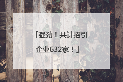 强劲！共计招引企业632家！