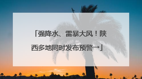 强降水、雷暴大风！陕西多地同时发布预警→