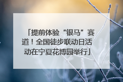 提前体验“银马”赛道！全国徒步联动日活动在宁夏花博园举行