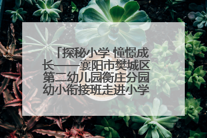 探秘小学 憧憬成长——襄阳市樊城区第二幼儿园衡庄分园幼小衔接班走进小学开展参观体验活动
