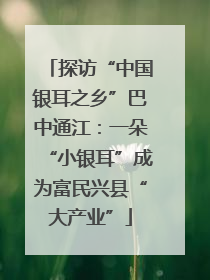 探访“中国银耳之乡”巴中通江：一朵“小银耳”成为富民兴县“大产业”
