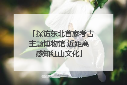 探访东北首家考古主题博物馆 近距离感知红山文化