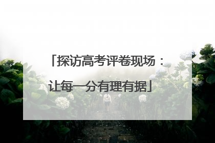 探访高考评卷现场：让每一分有理有据
