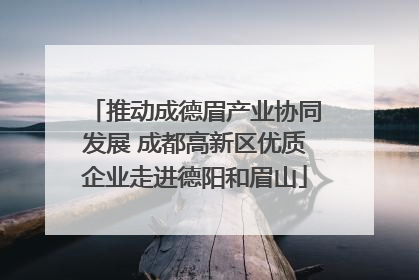推动成德眉产业协同发展 成都高新区优质企业走进德阳和眉山